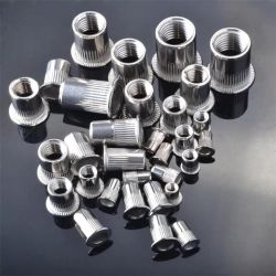 Countersunk Head Rivet Nuts
